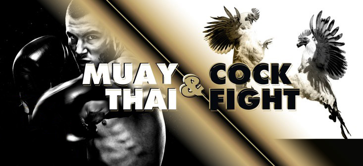 Muay Thai fighter with cockfight banner promoting sports betting.